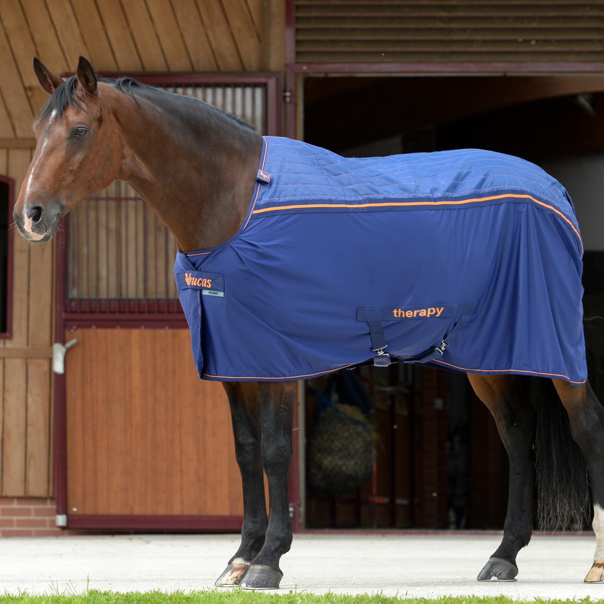 Bucas Therapy Cooler B/N Navy/Orange Bucas