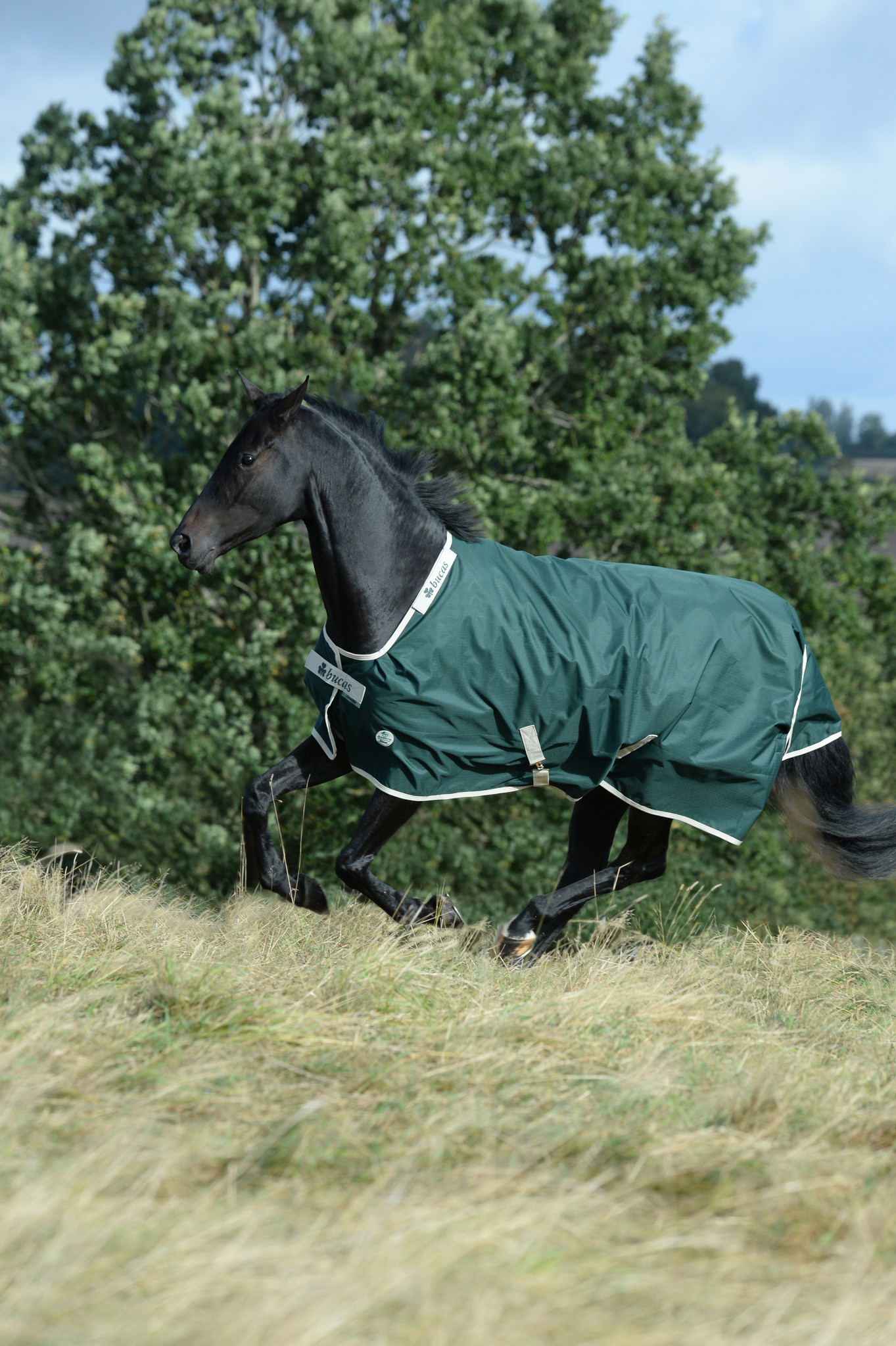 Bucas Green-Line Pferdedecke 100g - Öko Turnout Aus Recycelten Materialien