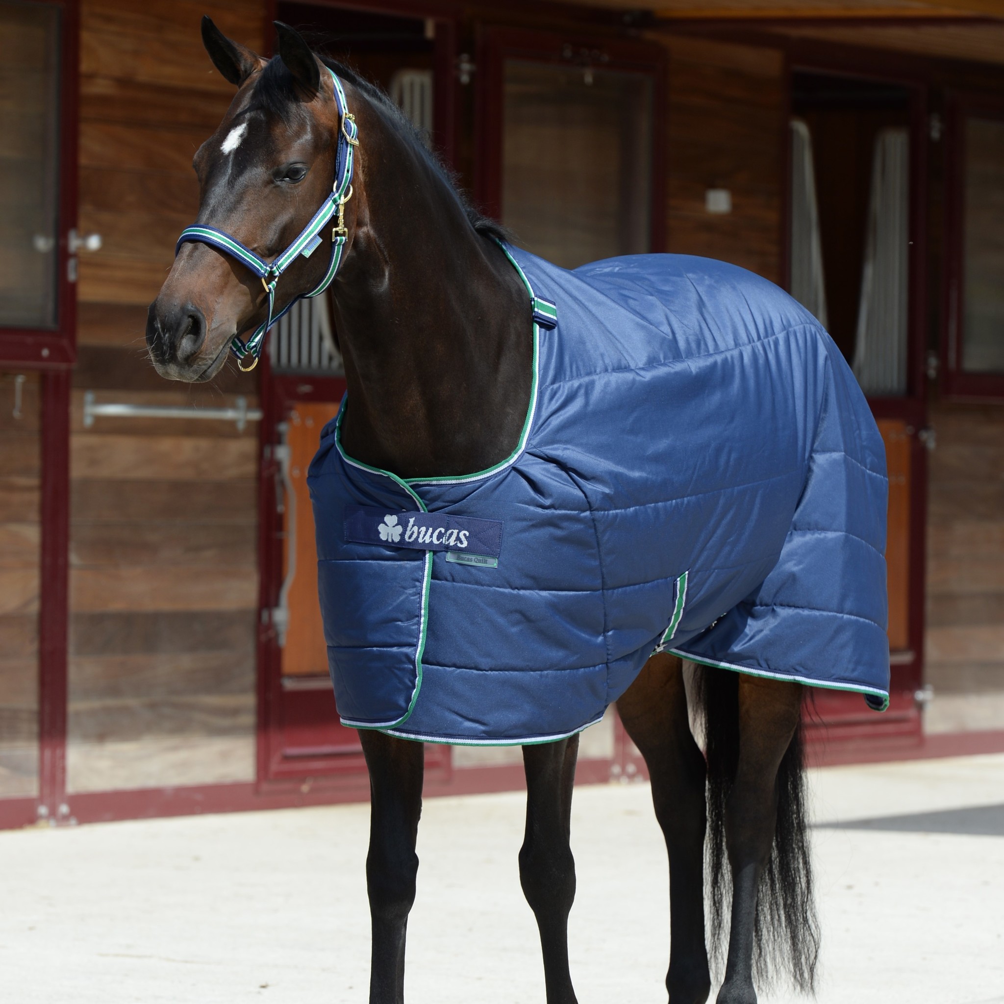 Bucas Quilt 150 SF Bucas