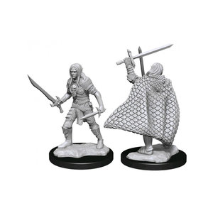 Wizk!ds (WZK90169) Unpainted Miniatures - Elf Fighter Male (PF)