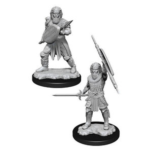 Wizk!ds Unpainted Miniatures - Human Fighter Male  (5E)