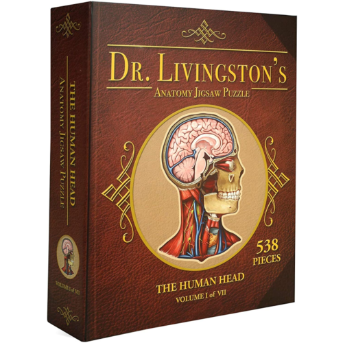 - The Human Head- Dr. Livingston's Anatomy Jigsaw Puzzle - The Human Head- Dr. Livingston's Anatomy Jigsaw Puzzle