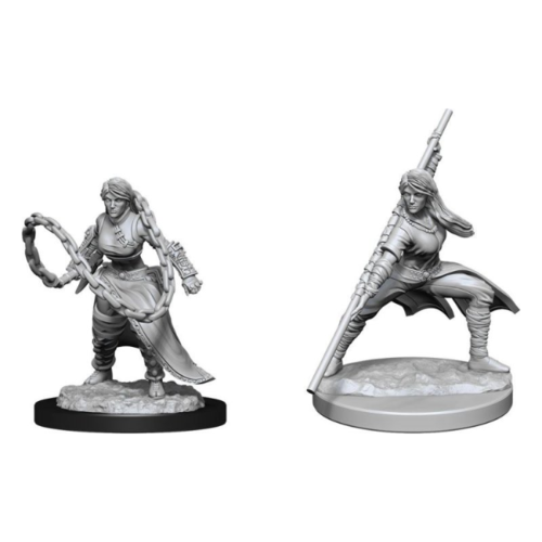 Wizk!ds Unpainted Miniatures - Human Monk Female Wizk!ds Unpainted Miniatures - Human Monk Female