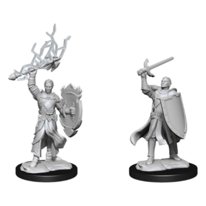 Wizk!ds (WZK90230) Unpainted Miniatures - Half-Elf Paladin Male