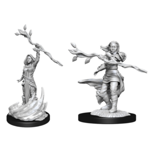 Wizk!ds D&D Nolzur's Marvelous Miniatures - Human Druid Female