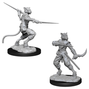 Wizk!ds Unpainted Miniatures - Tabaxi Male Rogue