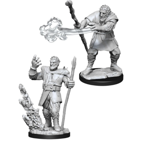 Wizk!ds D&D Icons of the Realms - Male Firbolg Druid Premium Figure