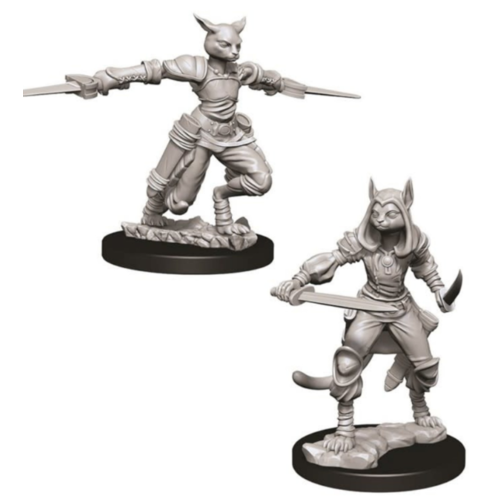 Wizk!ds Unpainted Miniatures- Tabaxi Female Rogue Wizk!ds Unpainted Miniatures- Tabaxi Female Rogue