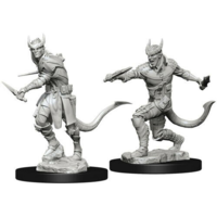 (WZK72562) Unpainted Miniatures - Tiefling Male Rogue