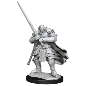 Wizk!ds (WZK90307) Unpainted Miniatures - Half-Orc Paladin Male
