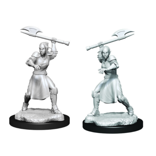 Wizk!ds (WZK90379) Critical Role Unpainted Miniatures - Half-Elf Echo Knight and Echo Female