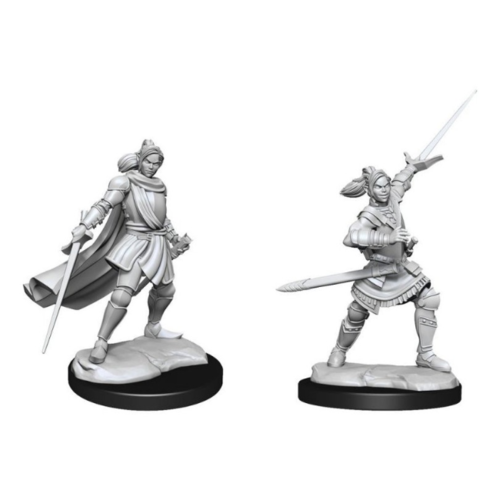 Wizk!ds Critical Role Unpainted Miniatures - Half-Elf Paladin Xhorhas Female