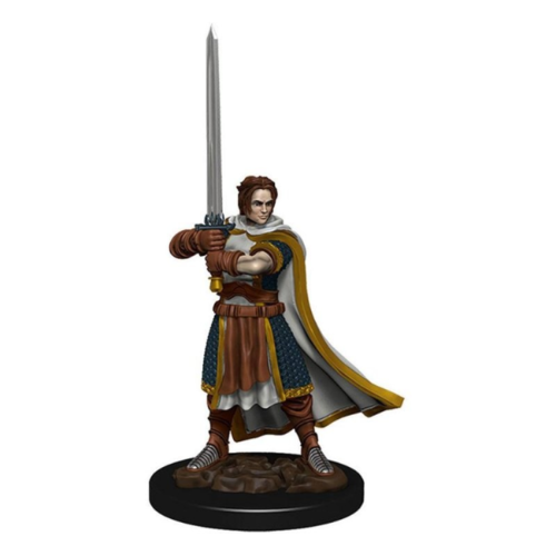 Wizk!ds D&D Icons of the Realms- Human Cleric Male