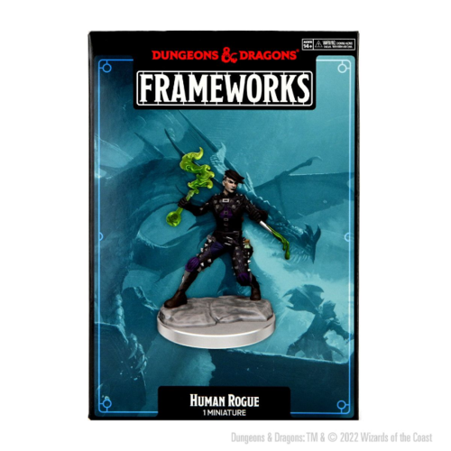 Wizk!ds D&D Frameworks - Human Rogue Female