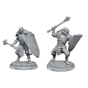 Wizk!ds D&D Nolzur's Marvelous Miniatures - Dragonborn Clerics