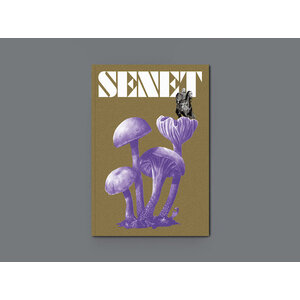 SENET - Issue 12: Autumn 2023