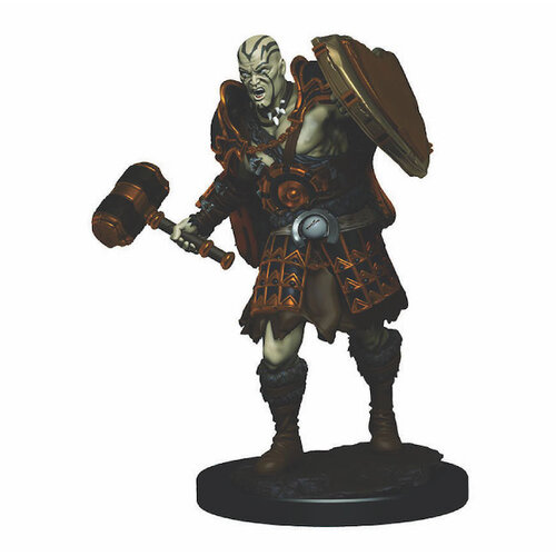 Icons of the Realms Premium Painted Miniature - Male Goliath Fighter