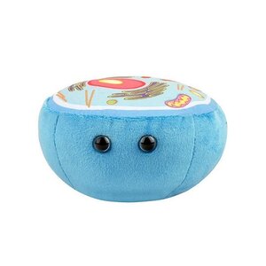 Giantmicrobes Giant Microbes - Animal Cell