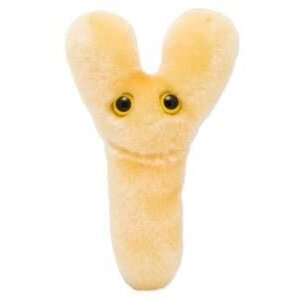 Giantmicrobes Giant Microbes - Bifido (Bifidobacterium longum)