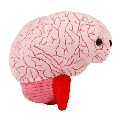 Giantmicrobes Giant Microbes - Brain