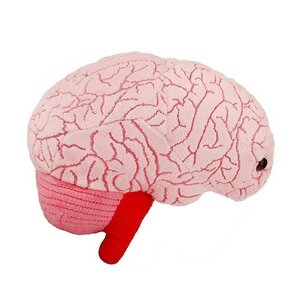 Giantmicrobes Giant Microbes - Brain