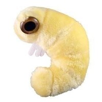 Giant Microbes - Bookworm (Anobium punctatum)