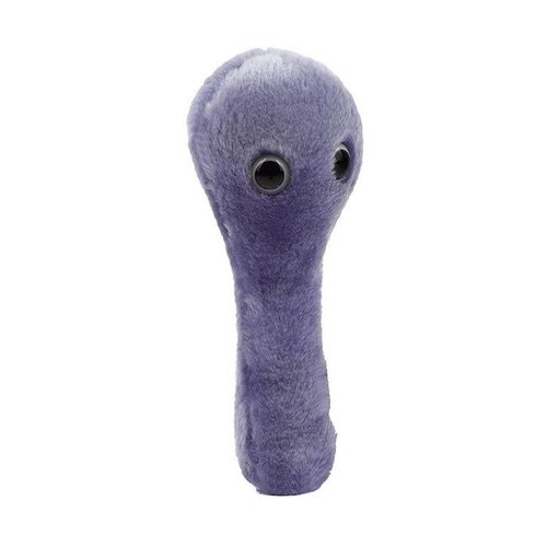 Giantmicrobes Giant Microbes - C-Diff