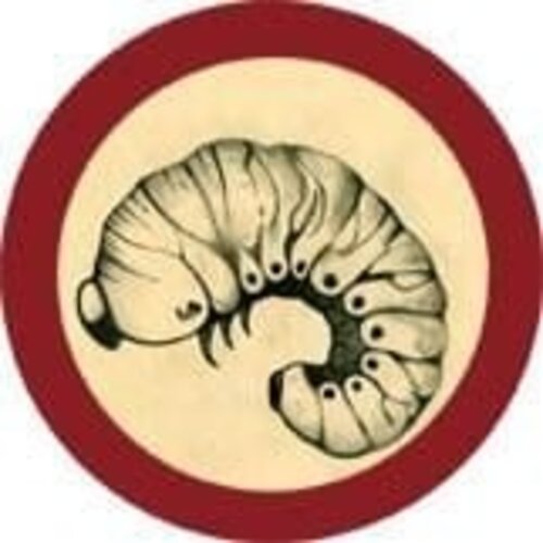 Giantmicrobes Giant Microbes - Bookworm (Anobium punctatum)