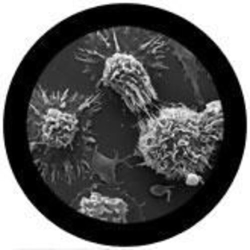Giantmicrobes Giant Microbes - Cancer