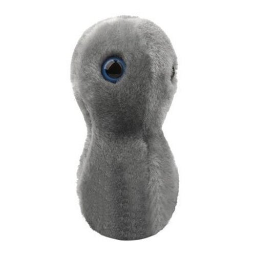 Giantmicrobes Giant Microbes - The Clap/Gonorrhea (Neisseria gonorrhoeae)