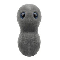 Giant Microbes - The Clap/Gonorrhea (Neisseria gonorrhoeae)