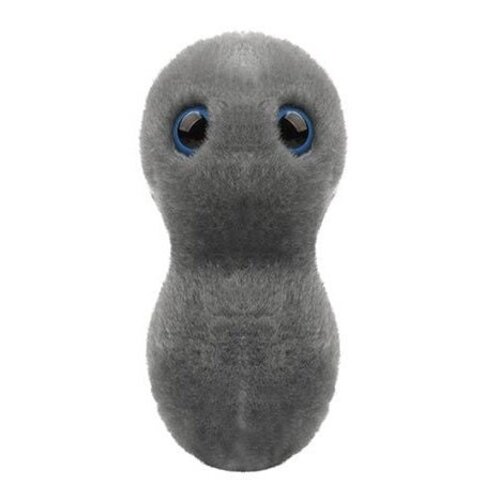Giantmicrobes Giant Microbes - The Clap/Gonorrhea (Neisseria gonorrhoeae)