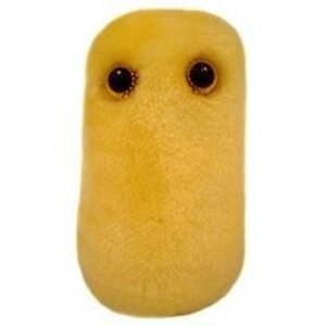 Giantmicrobes Giant Microbes - Cough (Bordetella pertussis)