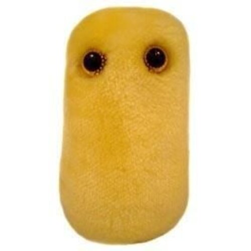 Giantmicrobes Giant Microbes - Cough (Bordetella pertussis)