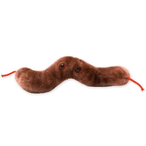 Giantmicrobes Giant Microbes - Diarrhea (Campylobacter jejuni)