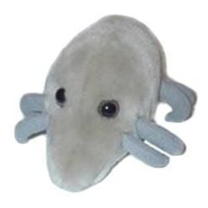 Giantmicrobes Giant Microbes - Dust Mite (Dermatophagoides pteronyssinus)