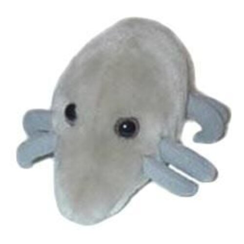 Giantmicrobes Giant Microbes - Dust Mite (Dermatophagoides pteronyssinus)