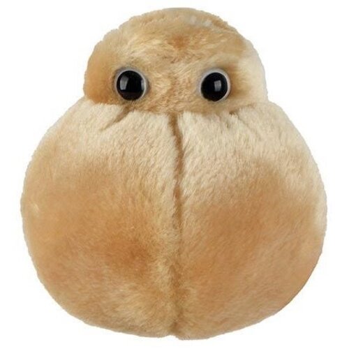 Giantmicrobes Giant Microbes - Fat Cell