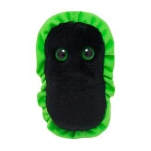 Giantmicrobes Giant Microbes - Gangrene (Clostridium perfringens)