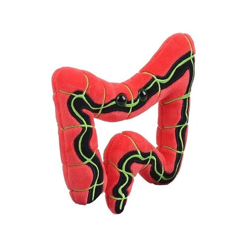 Giantmicrobes Giant Microbes - Irritable Bowel Syndrome