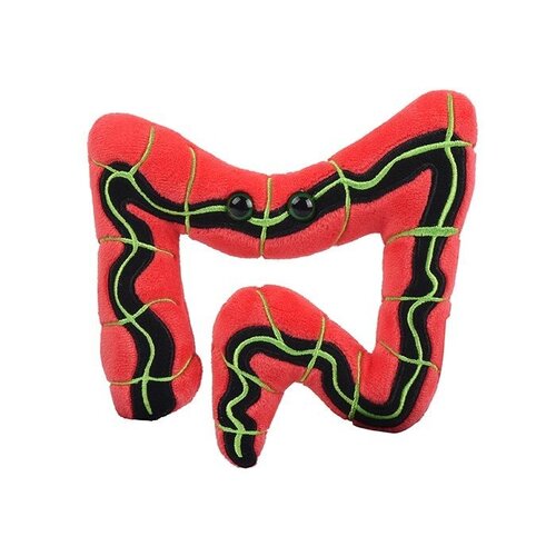 Giantmicrobes Giant Microbes - Irritable Bowel Syndrome