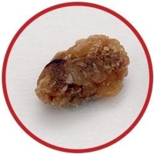 Giantmicrobes Giant Microbes - Kidney Stone