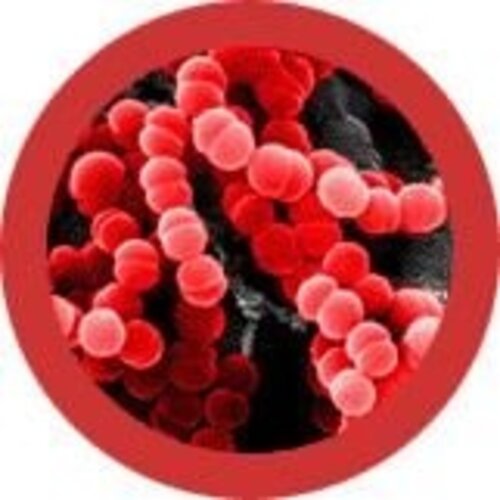 Giantmicrobes Giant Microbes - Sore Throat (Streptococcus)