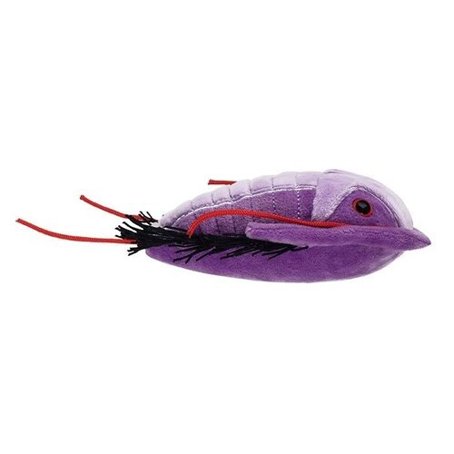 Giantmicrobes Giant Microbes - Trilobite (Asaphiscus wheeleri)