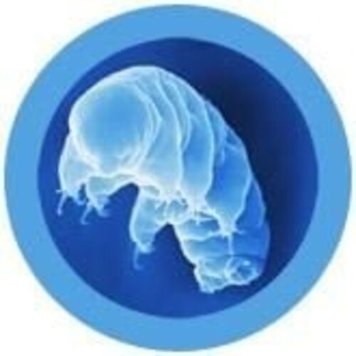 Giantmicrobes Giant Microbes - Waterbear (Tardigrade)