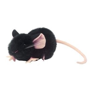 Giantmicrobes Giant Microbes - Black Lab Mouse (C57BL/6)
