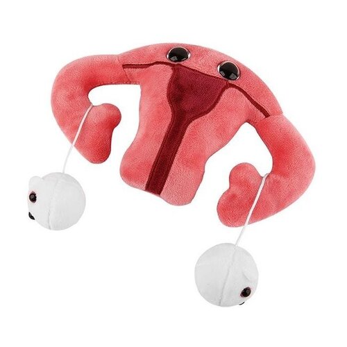 Giantmicrobes Giant Microbes - Uterus Giantmicrobes Giant Microbes - Uterus