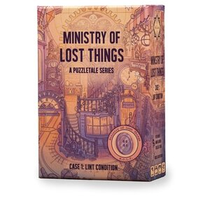 Ministry of Lost Things - Case 1: Lint Condition