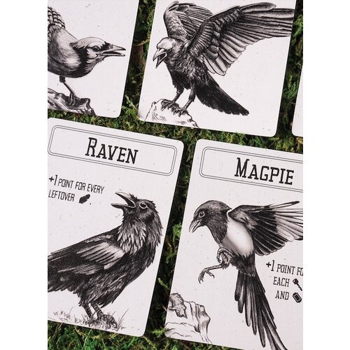 Corvids