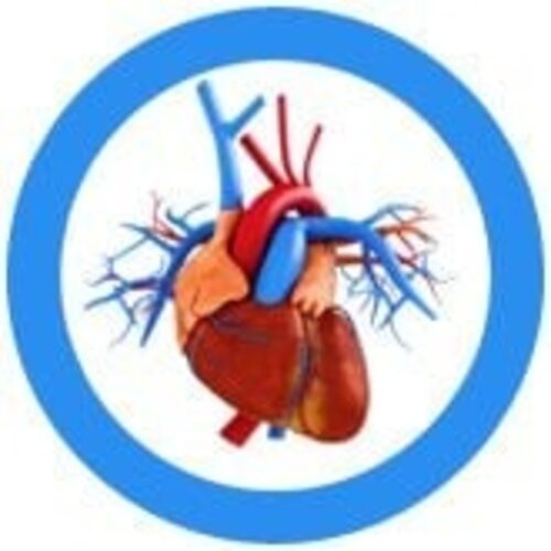Giantmicrobes Giant Microbes - Heart